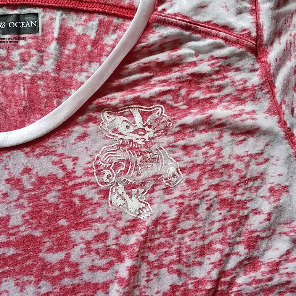 Wisconsin Badgers Burnout Tshirt
